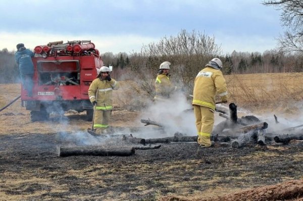 В Забайкалье пожары нанесли сельскому хозяйству ущерб почти на 600 млн руб. - «Происшествия»
