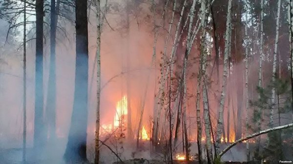 В Забайкальском крае МЧС объявило о ликвидации всех пожаров - «Авто новости»