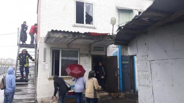В Киеве сгорел кошачий приют, погибли пятеро «постояльцев» - «Новости Дня»