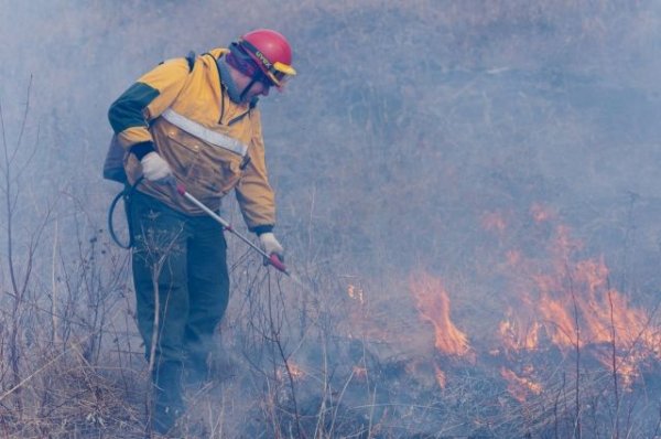 Власти Забайкалья сообщили о состоянии пострадавших от природных пожаров - «Происшествия»