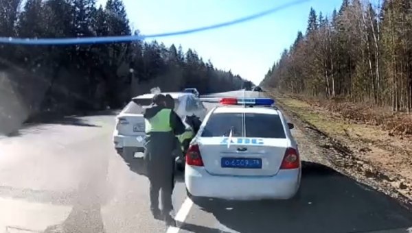 Внедорожник сбил инспектора ГИБДД на дороге в Ленобласти. Видео - «Новости дня»