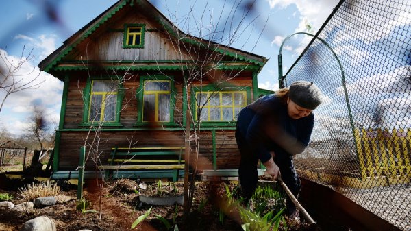 Врачи назвали излюбленные позы огородников опасными для здоровья - «Новости Дня»