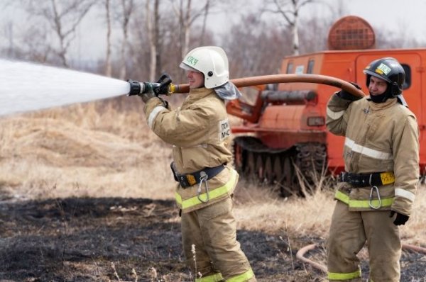 Врио главы Забайкалья рассказал, что стало причиной природных пожаров - «Происшествия»