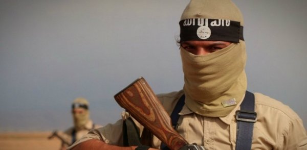 В Турции задержали гражданина Грузии за возможную связь с ИГИЛ - «Новости Дня»