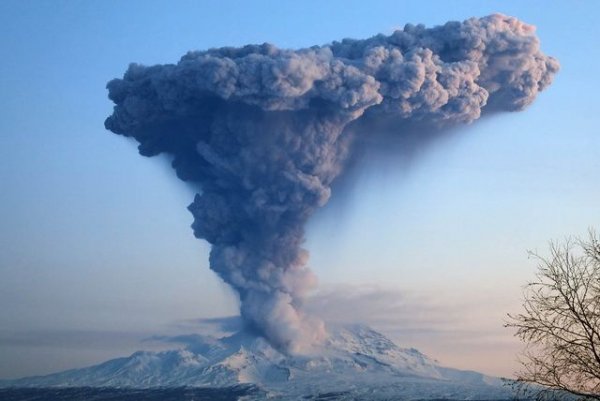 Вулкан Шивелуч на Камчатке выбросил столб пепла на высоту 8 километров - «Происшествия»