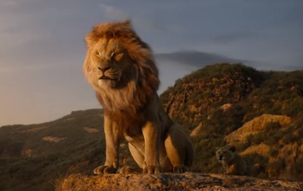 Вышел новый трейлер Короля льва с Тимоном и Пумбой - (видео)