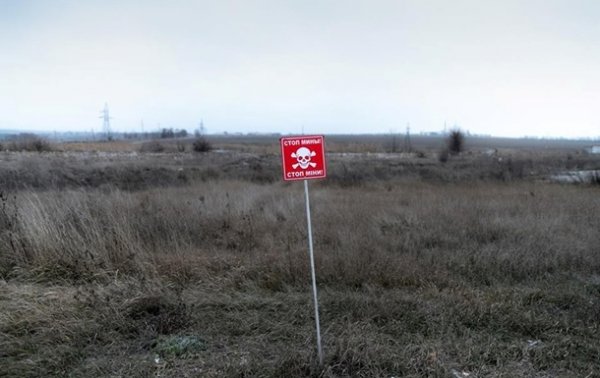 За год жертвами мин на Донбассе стали 70 человек - ОБСЕ