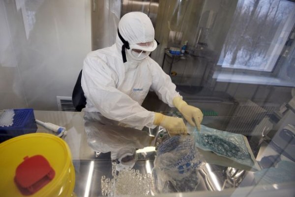 Заболеваемость лихорадкой Эбола в ДРК достигла пика за последние 8 месяцев - «Политика»