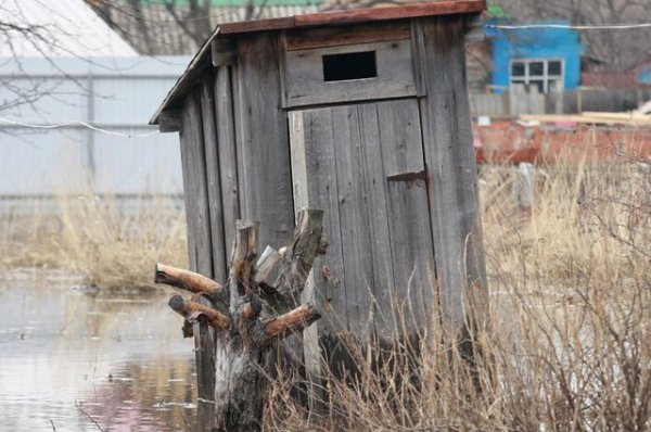 Завязанные в санузел. Способна ли Россия на туалетную революцию? - «Политика»