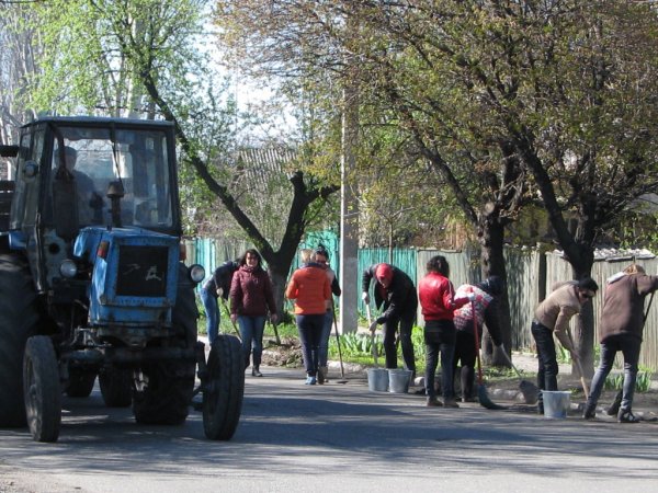 Жители ДНР на республиканском субботнике высадили около 25 тысяч деревьев, кустарников и цветов