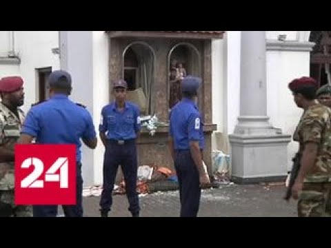 МИД: россияне не пострадали при взрывах на Шри-Ланке - Россия 24 - (видео)