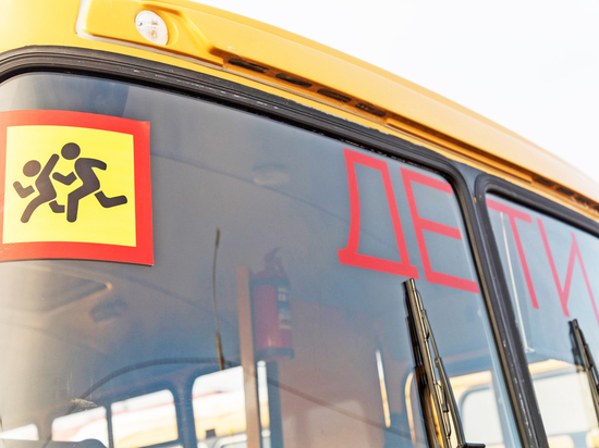 Мы едем, едем: правила организованной перевозки школьников на автобусах