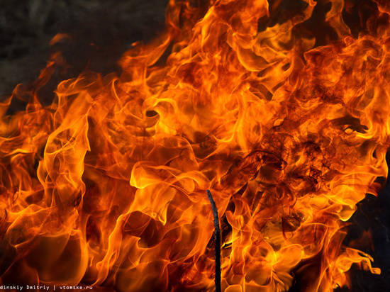 На пожаре в заброшенном доме в Тверской области погиб бродяга