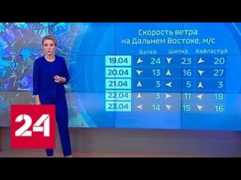 "Погода 24": лесные пожары не прекратятся в ближайшее время - Россия 24 - (видео)