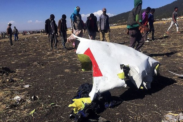 Причиной крушения Boeing в Эфиопии могла стать птица — СМИ - «Новости Дня»