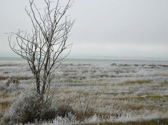 Прощай, урожай: на Крым идут заморозки