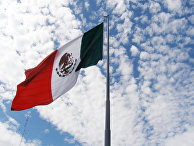 Reforma (Мексика): до того, как рак свистнет - «Политика»