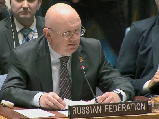 Российский постпред не позволил ограничить свое выступление в Совбезе ООН