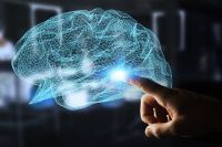 Сколько в мозге гигабайт? | Наука | Общество - «Политика»