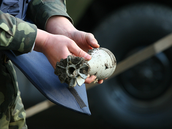 В двух садовых товариществах Калининградской области обнаружили снаряды и мины