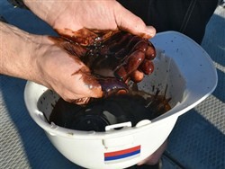 В Европе пожаловались на некачественную нефть из России - «Технологии»