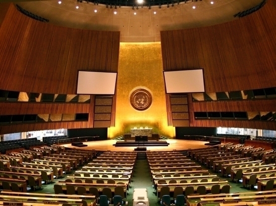 В Госдуме призвали генсека ООН исключить Эстонию из всемирной организации