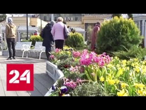 В Москве установлен климатический рекорд тепла - Россия 24 - (видео)