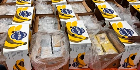 В порту Роттердама обнаружили 1,6 тонн «бананового» кокаина - «Происшествия»