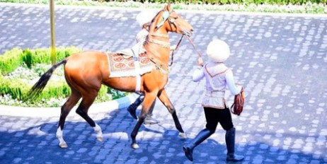 В Туркмении прошел международный конкурс красоты для коней - «Политика»