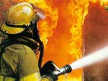 В Уссурийске пожарные потушили торговый павильон - «Новости Уссурийска»