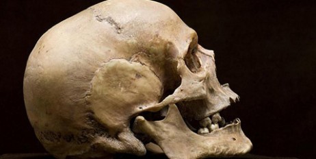 В заброшенном доме Харькова нашли человеческий череп - «Экономика»