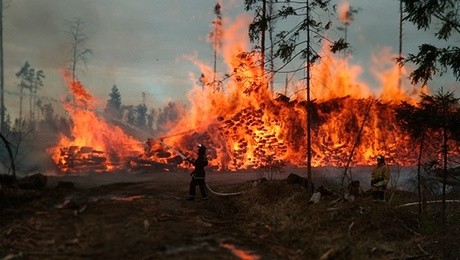 Вопрос дня: кто устроил пожар в национальном парке «Лосиный остров»? - «Культура»