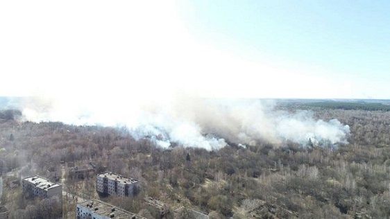 В зоне отчуждения Чернобыльской АЭС сгорел полуразрушенный поселок - «Новости Дня»