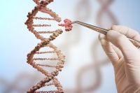Зачем учёным искусственная ДНК? | Наука | Общество - «Политика»