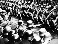 Die Welt (Германия): имея сильный корпус в Африке, Гитлер мог бы выиграть войну - «Общество»