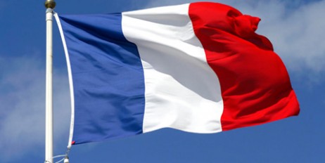 Франция обещает принять меры относительно искателей убежища из Грузии - «Политика»