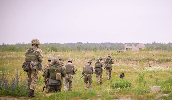 Генштаб ВСУ меняет командный состав ООС после пленения украинской ДРГ - «Новости Дня»