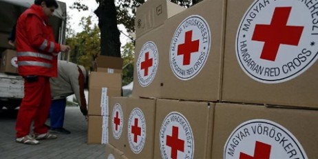 Красный Крест направил в "ДНР" 95 тонн гумпомощи - «Происшествия»