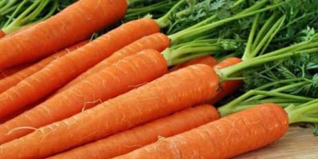 Медики опровергли популярные заблуждения о моркови - «Мир»