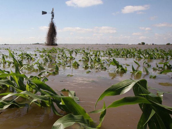 Фермеры США находятся в тяжелом положении - «Новости дня»