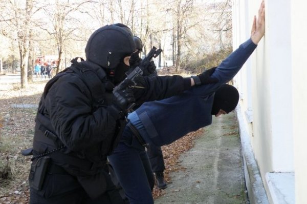 ФСБ задержала семь участников националистической организации - «Происшествия»