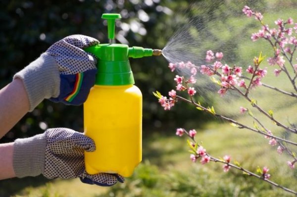 «Химический удар». Можно ли обойтись без пестицидов? - «Политика»