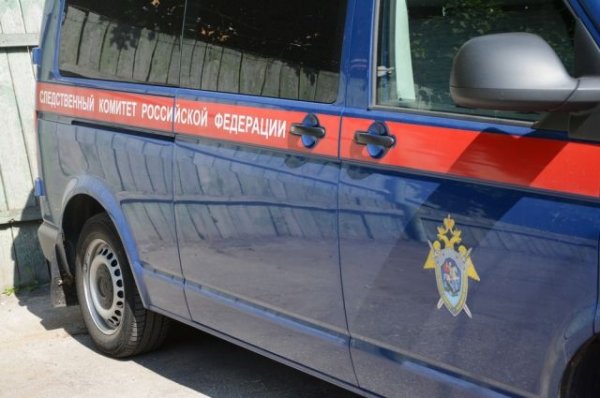 Крымские следователи начали проверку после инцидента с воздушным шаром - «Политика»