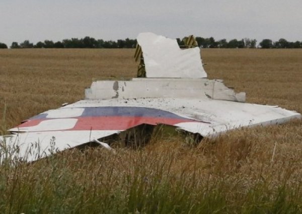 Малайзия требует больше доказательств вины России в уничтожении рейса МН17 - «Военное обозрение»