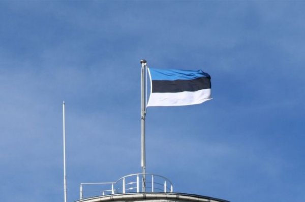 МИД Эстонии: новая коалиция не договорилась о ратификации пограндоговора - «Происшествия»