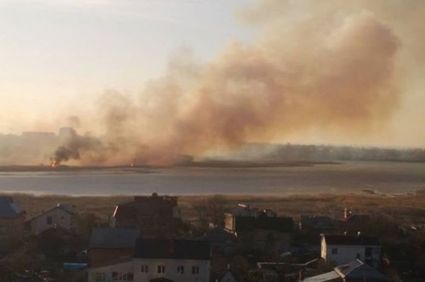 Минсельхоз оценил ущерб аграриям Забайкалья от пожаров в 860 млн рублей - «Происшествия»