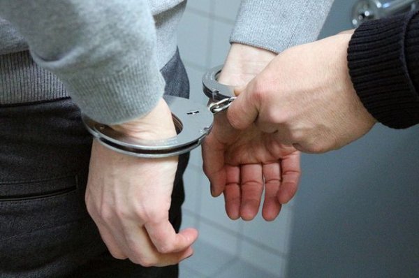 Московские полицейские поймали мошенника, похитившего около 22 млн рублей - «Политика»