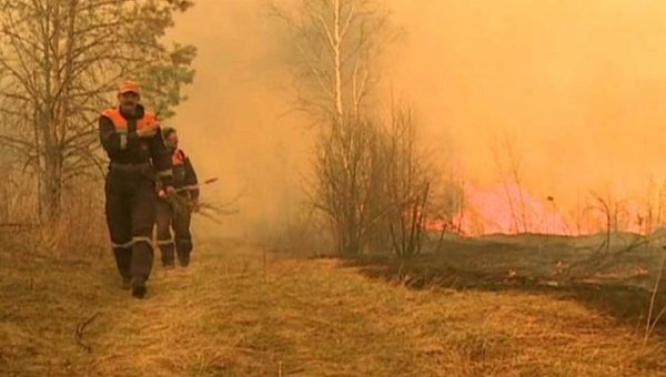 На Дальнем Востоке продолжают бушевать лесные пожары - «Новости дня»