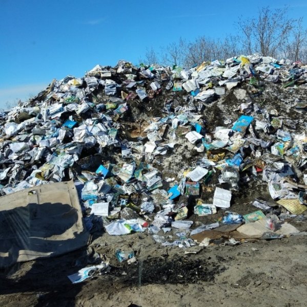 На Ямале школы устроили токсичный мусорный полигон из старых книг