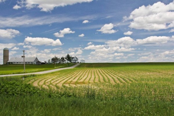На Южном Урале глава района продал фермерские земли под элитные коттеджи
